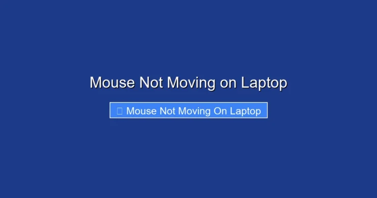 Mouse Not Moving on Laptop