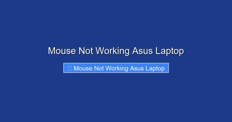 Mouse Not Working Asus Laptop