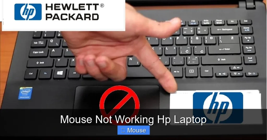 Mouse Not Working Hp Laptop