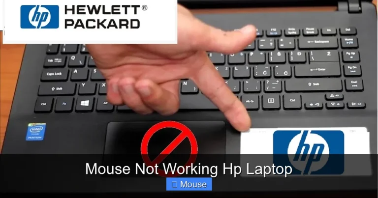 Mouse Not Working Hp Laptop