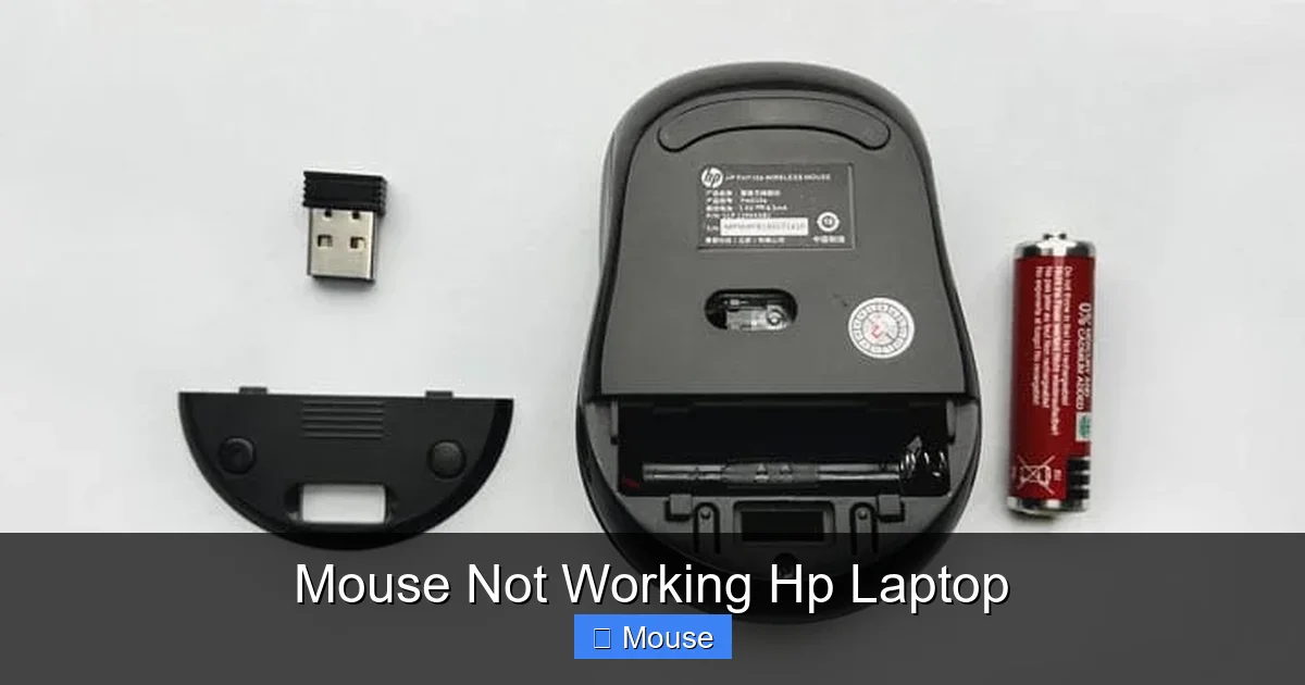 Mouse Not Working Hp Laptop