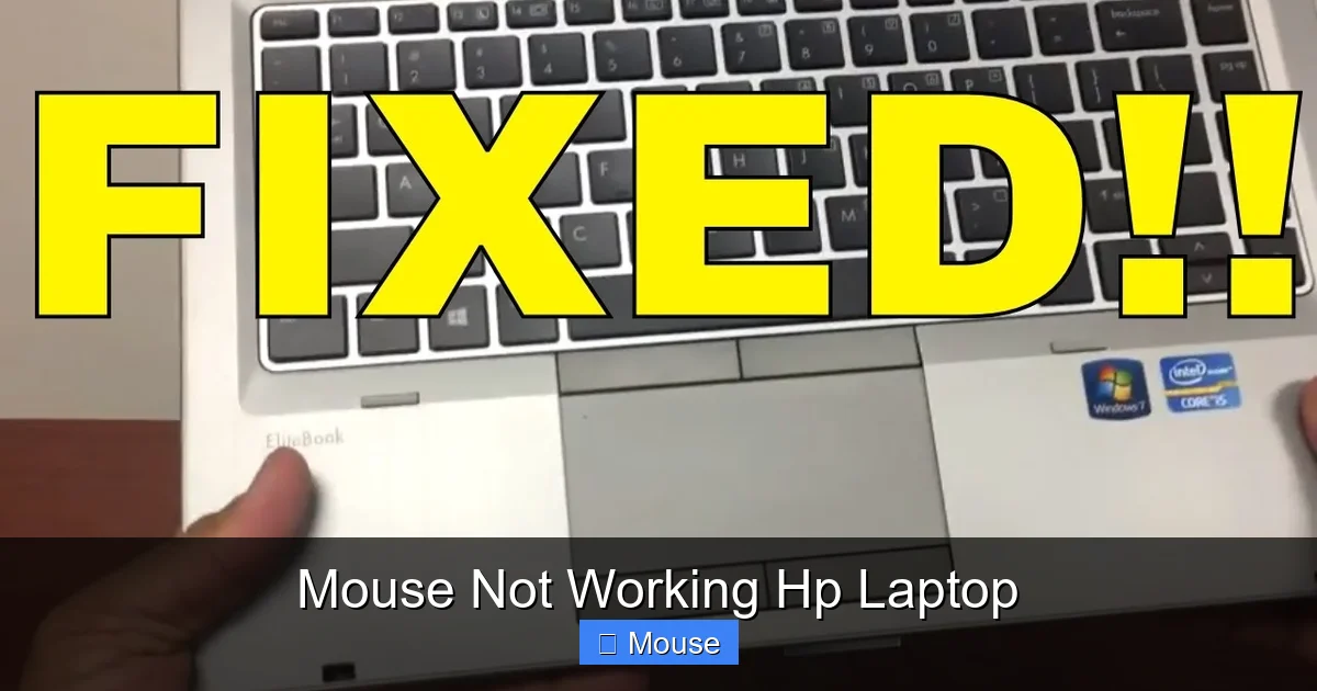 Mouse Not Working Hp Laptop