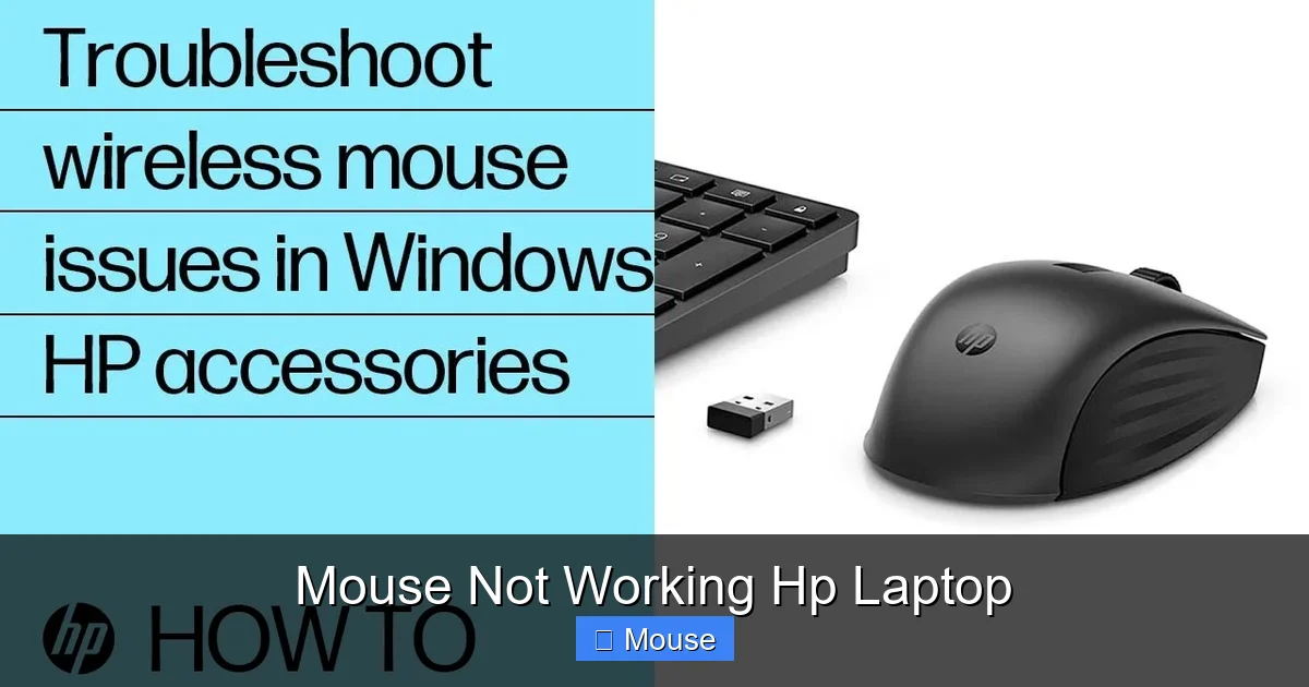 Mouse Not Working Hp Laptop