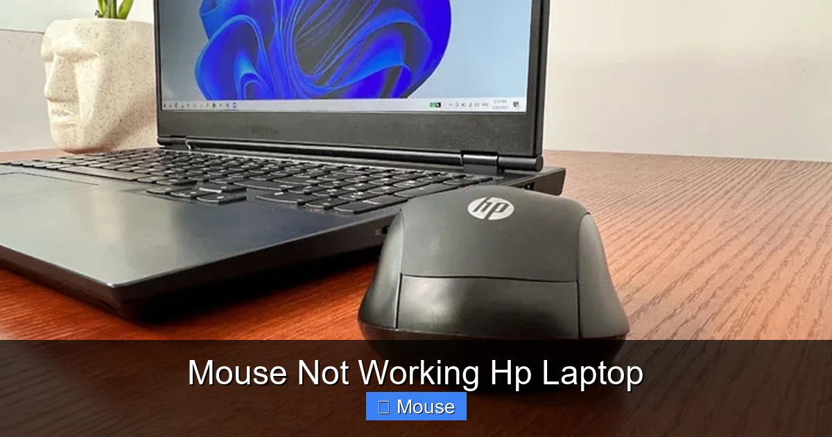 Mouse Not Working Hp Laptop