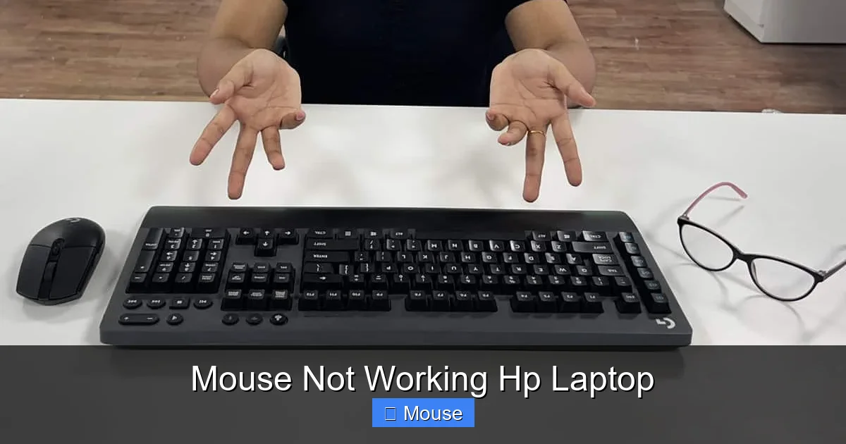 Mouse Not Working Hp Laptop