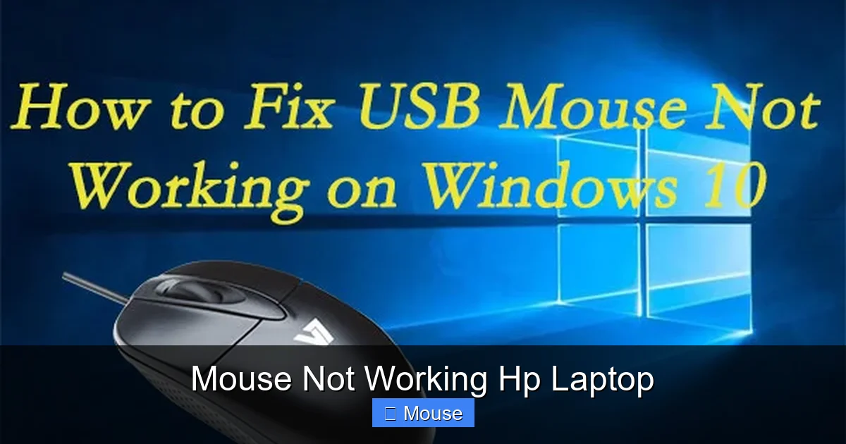 Mouse Not Working Hp Laptop