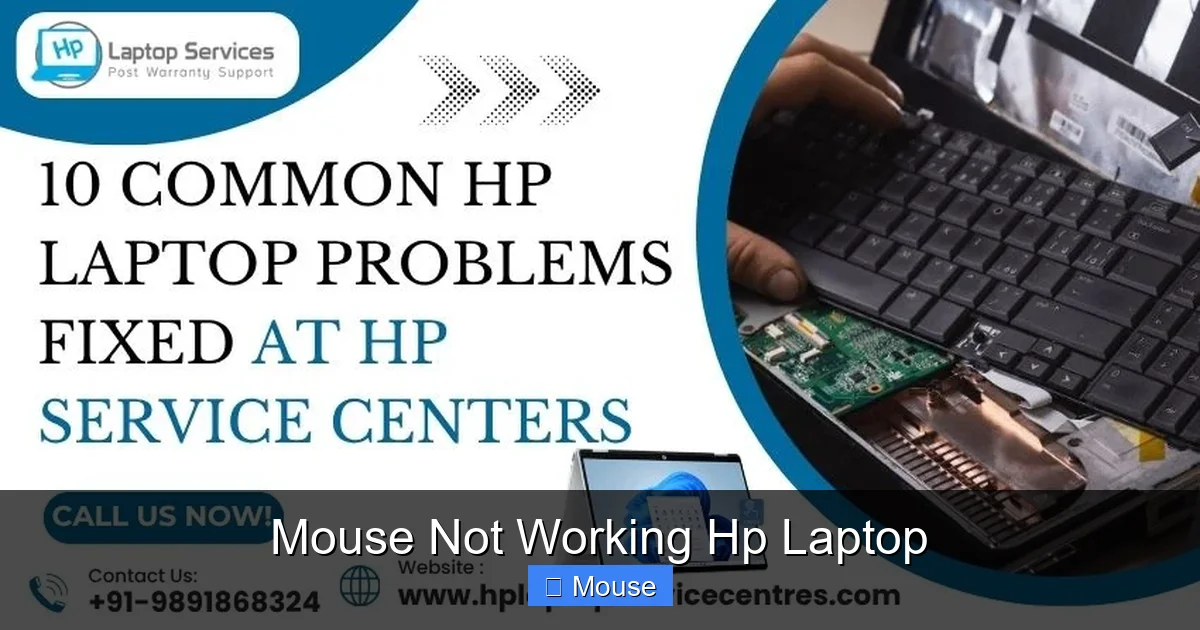 Mouse Not Working Hp Laptop