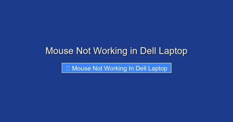 Mouse Not Working in Dell Laptop