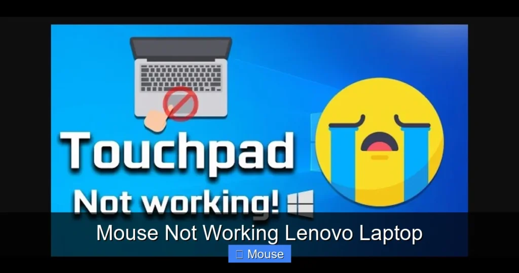 Mouse Not Working Lenovo Laptop