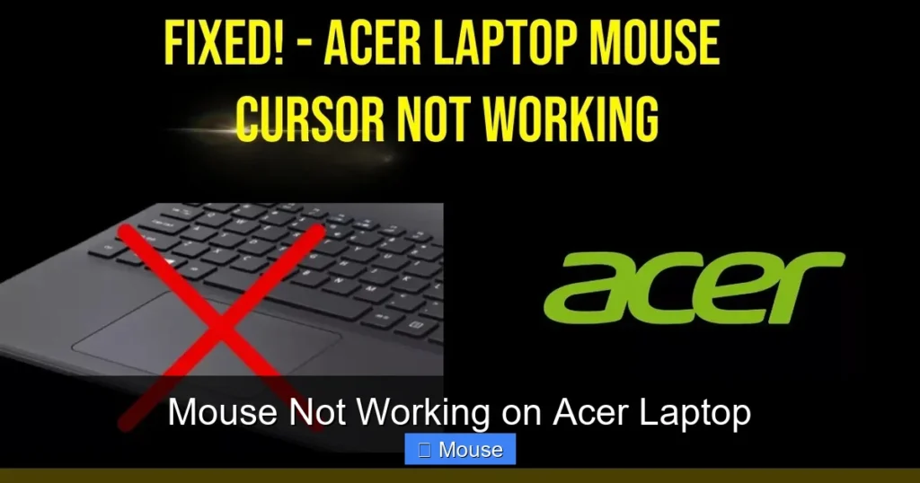Mouse Not Working on Acer Laptop