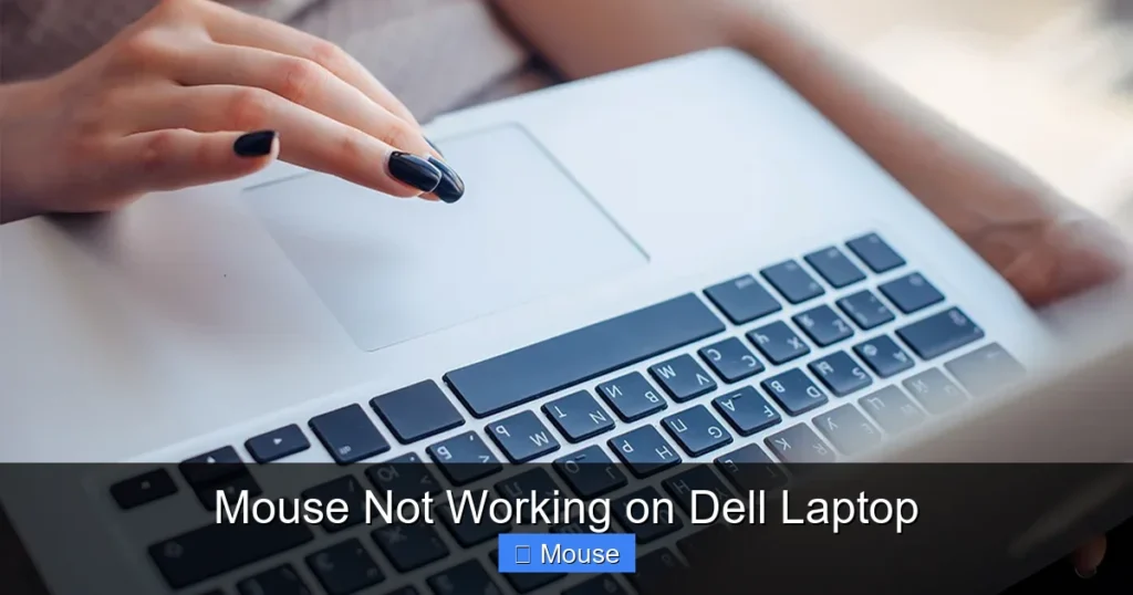 Mouse Not Working on Dell Laptop