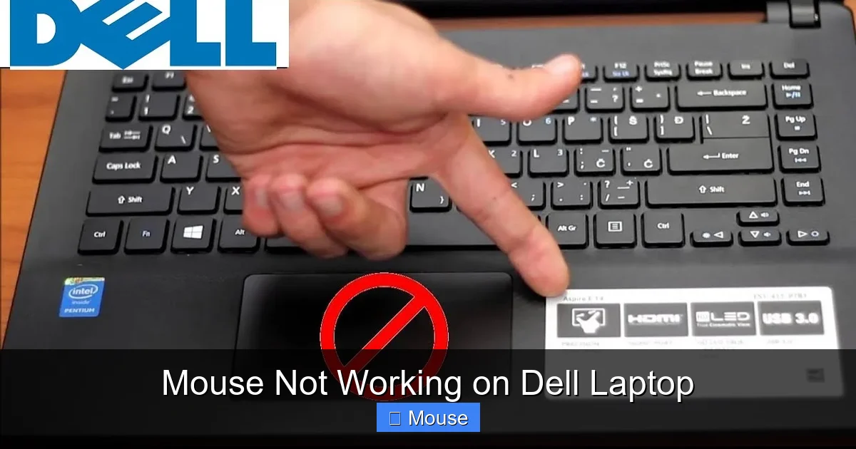 Mouse Not Working on Dell Laptop