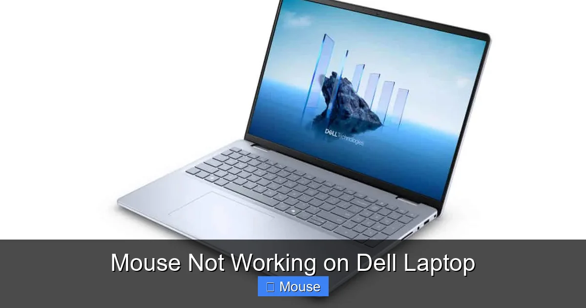 Mouse Not Working on Dell Laptop
