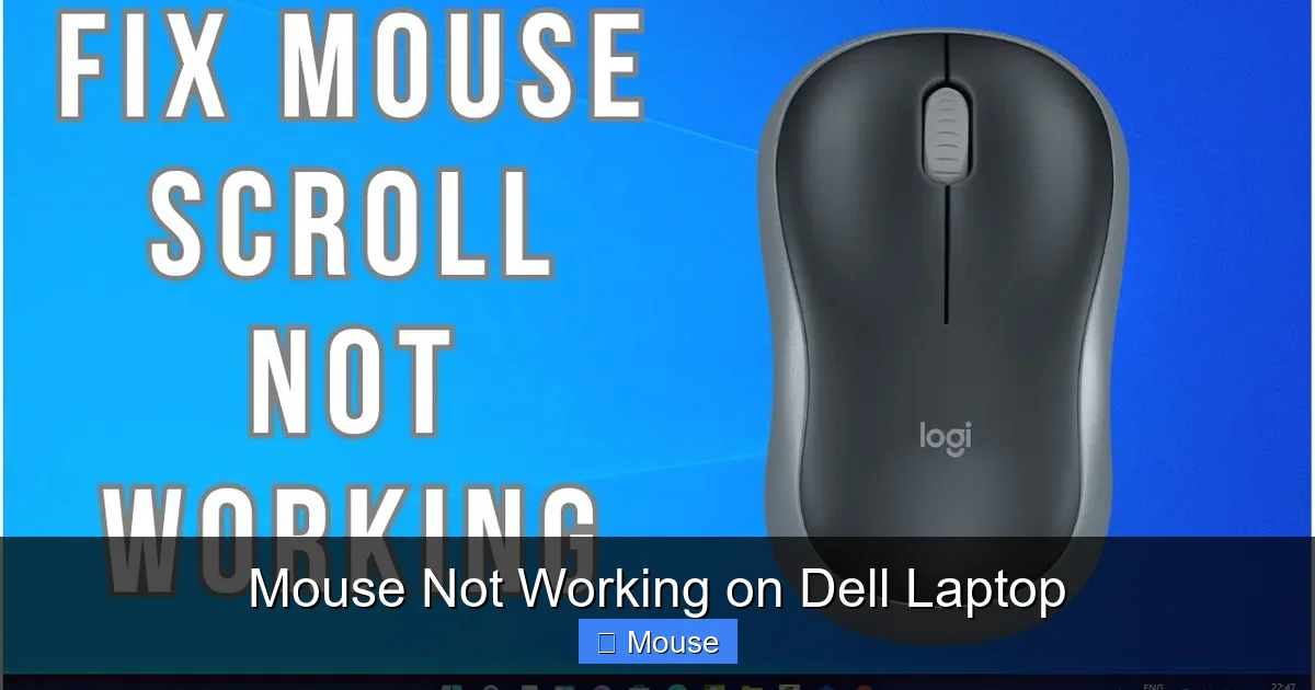 Mouse Not Working on Dell Laptop
