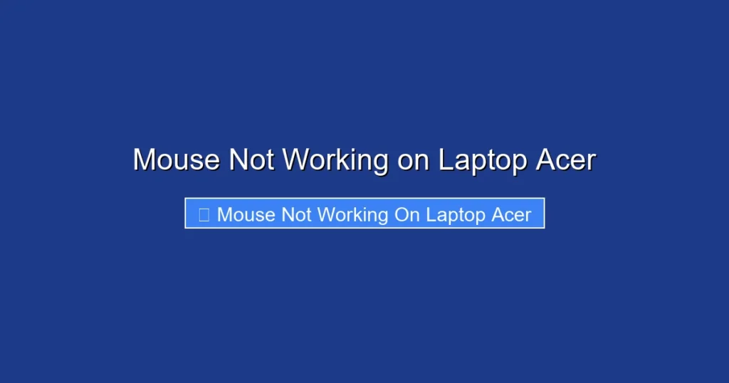 Mouse Not Working on Laptop Acer