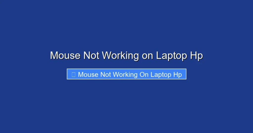 Mouse Not Working on Laptop Hp