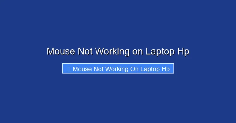 Mouse Not Working on Laptop Hp