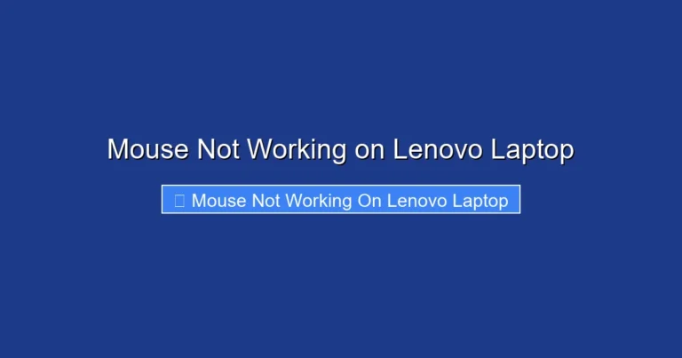 Mouse Not Working on Lenovo Laptop