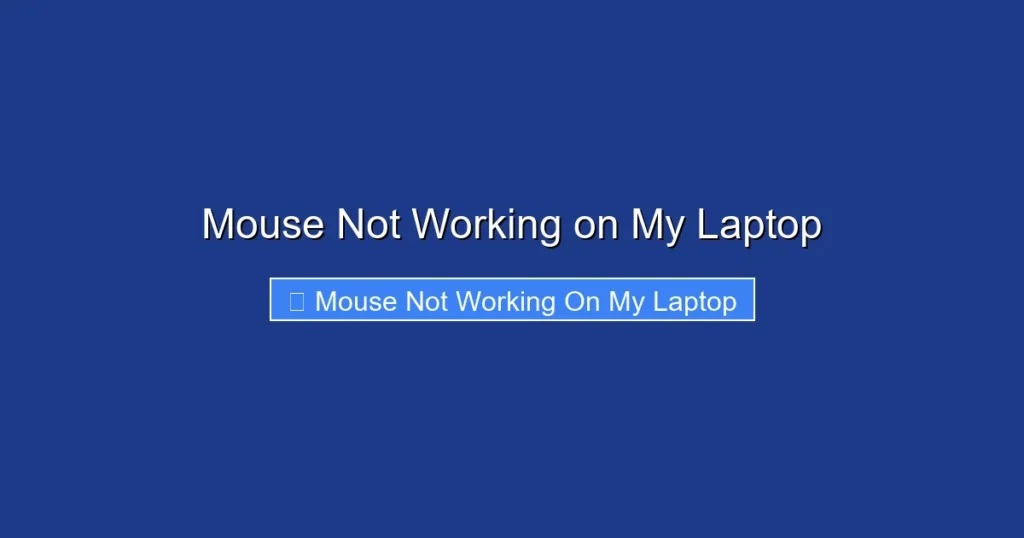 Mouse Not Working on My Laptop