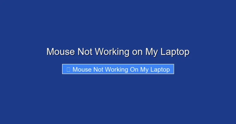 Mouse Not Working on My Laptop