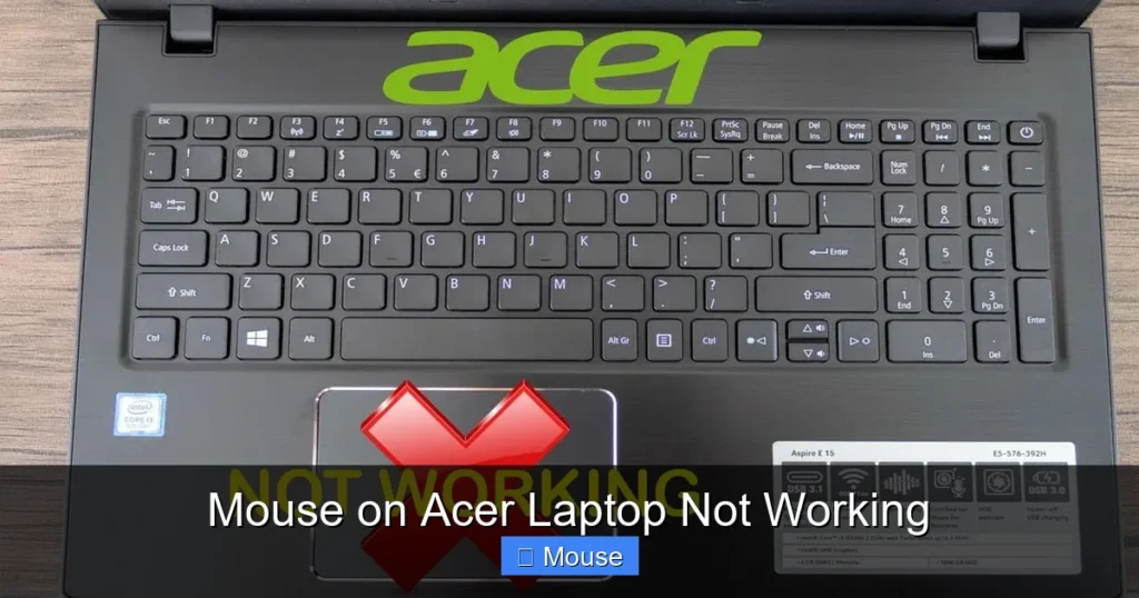 Mouse on Acer Laptop Not Working