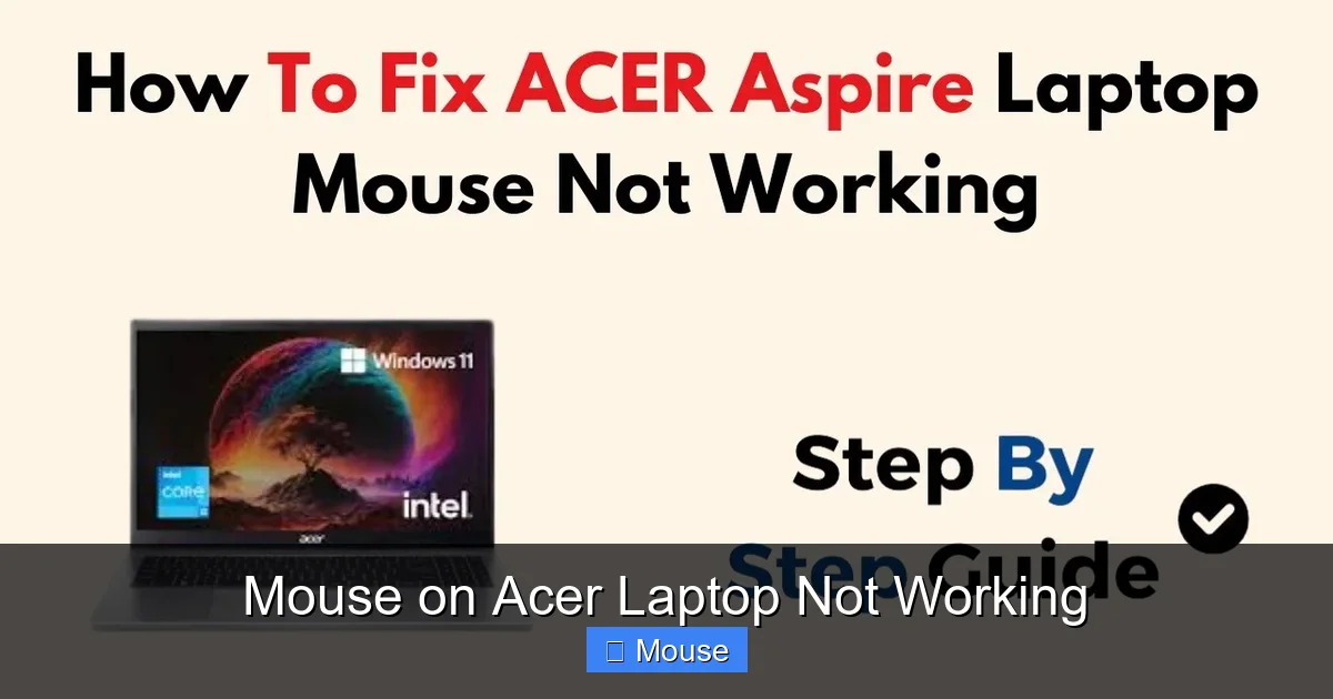Mouse on Acer Laptop Not Working