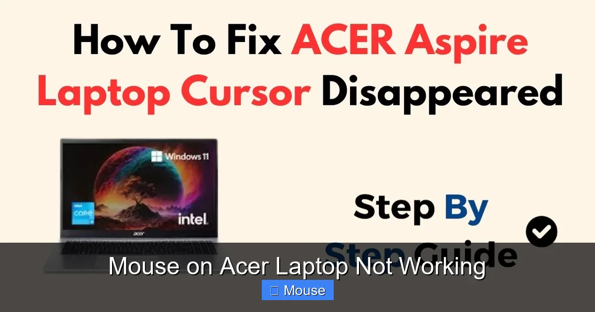Mouse on Acer Laptop Not Working