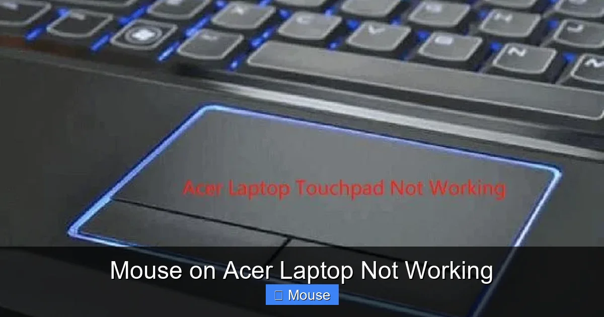Mouse on Acer Laptop Not Working