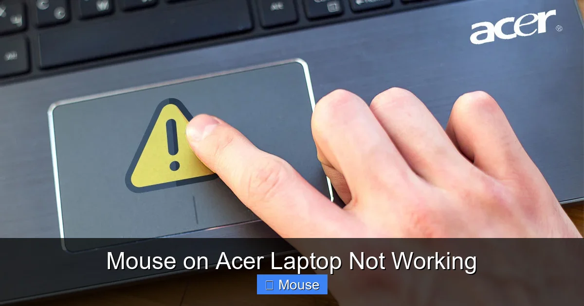 Mouse on Acer Laptop Not Working