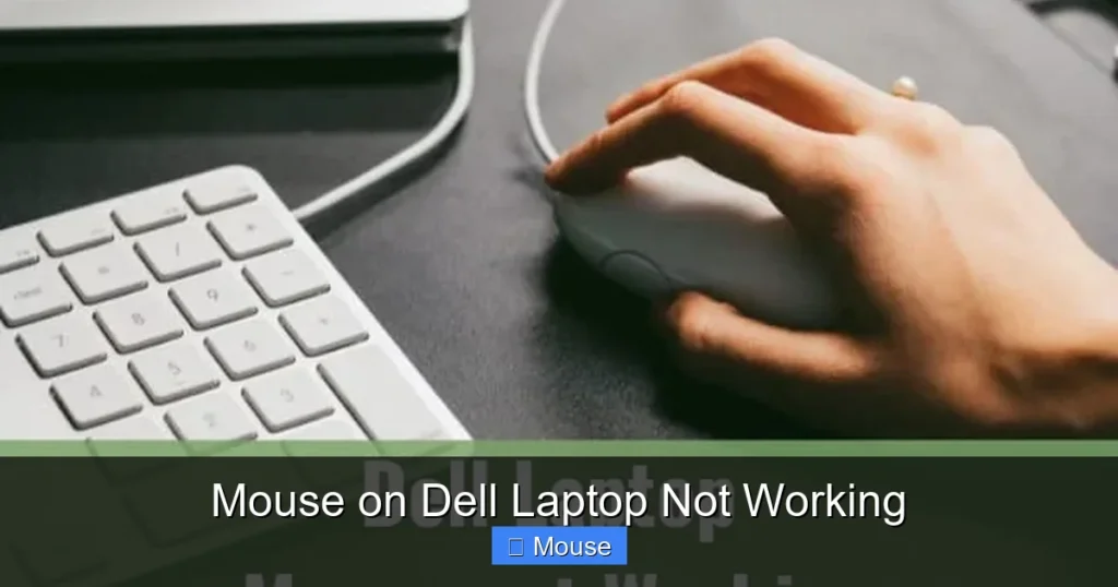 Mouse on Dell Laptop Not Working