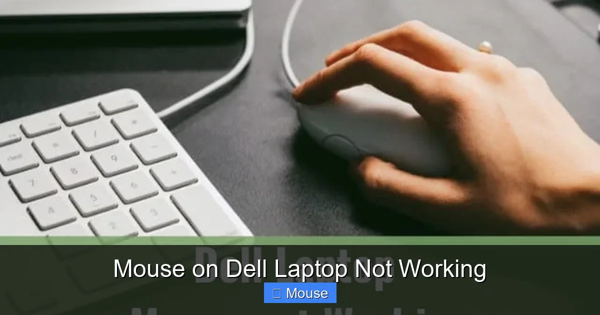 Mouse on Dell Laptop Not Working