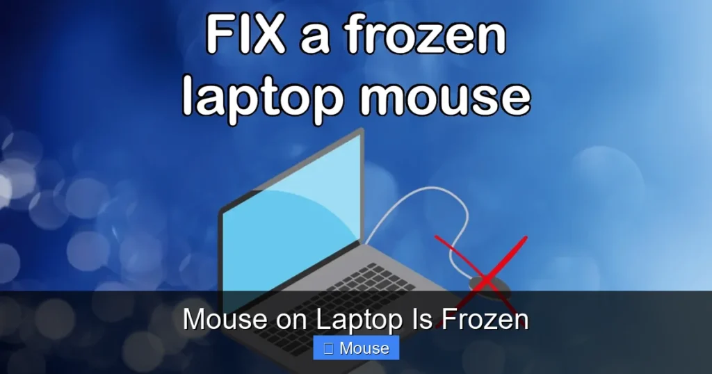 Mouse on Laptop Is Frozen