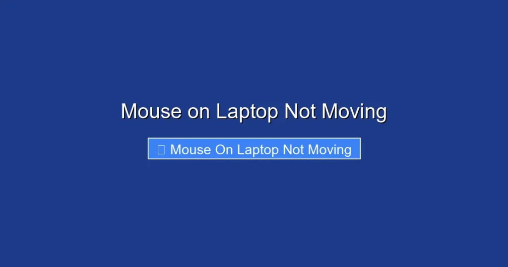 Mouse on Laptop Not Moving