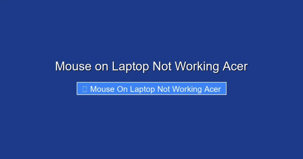 Mouse on Laptop Not Working Acer