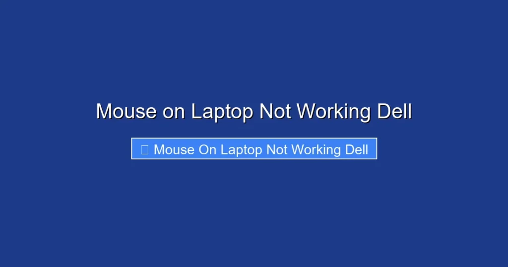 Mouse on Laptop Not Working Dell