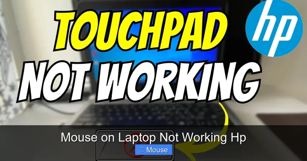 Mouse on Laptop Not Working Hp