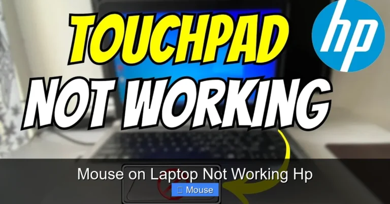 Mouse on Laptop Not Working Hp