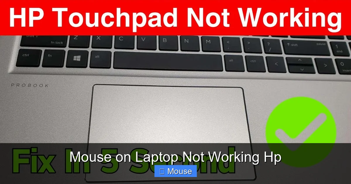 Mouse on Laptop Not Working Hp