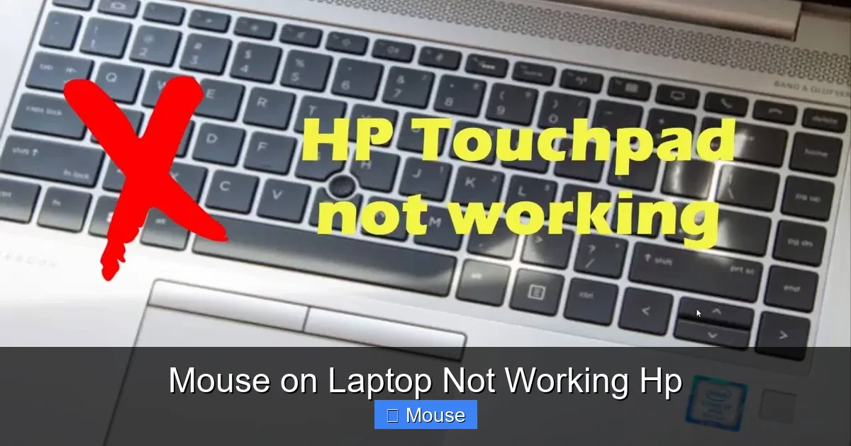 Mouse on Laptop Not Working Hp