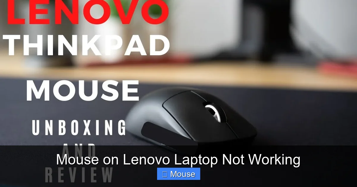 Mouse on Lenovo Laptop Not Working