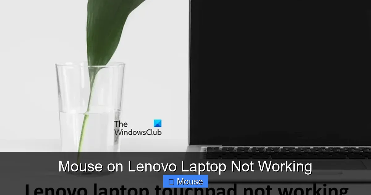 Mouse on Lenovo Laptop Not Working