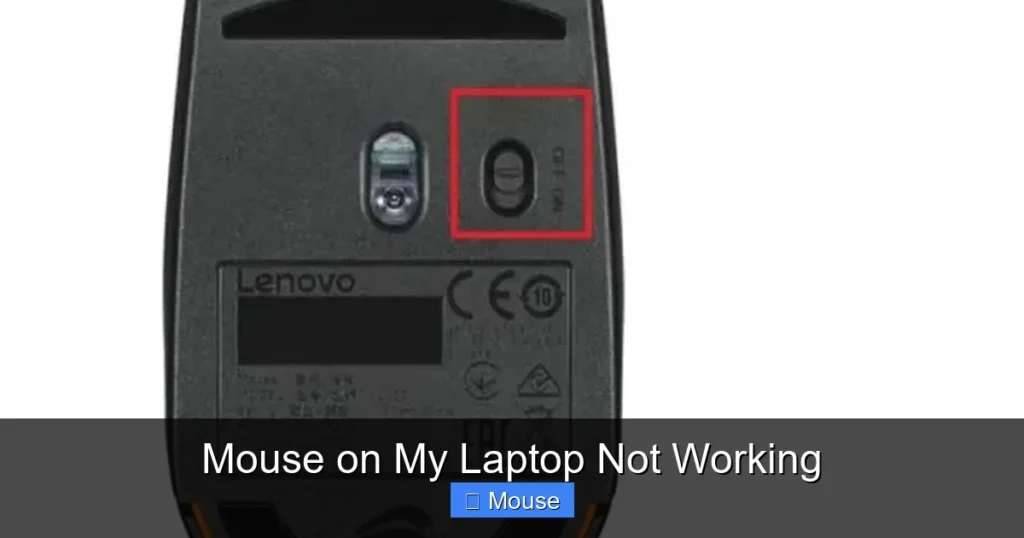 Mouse on My Laptop Not Working