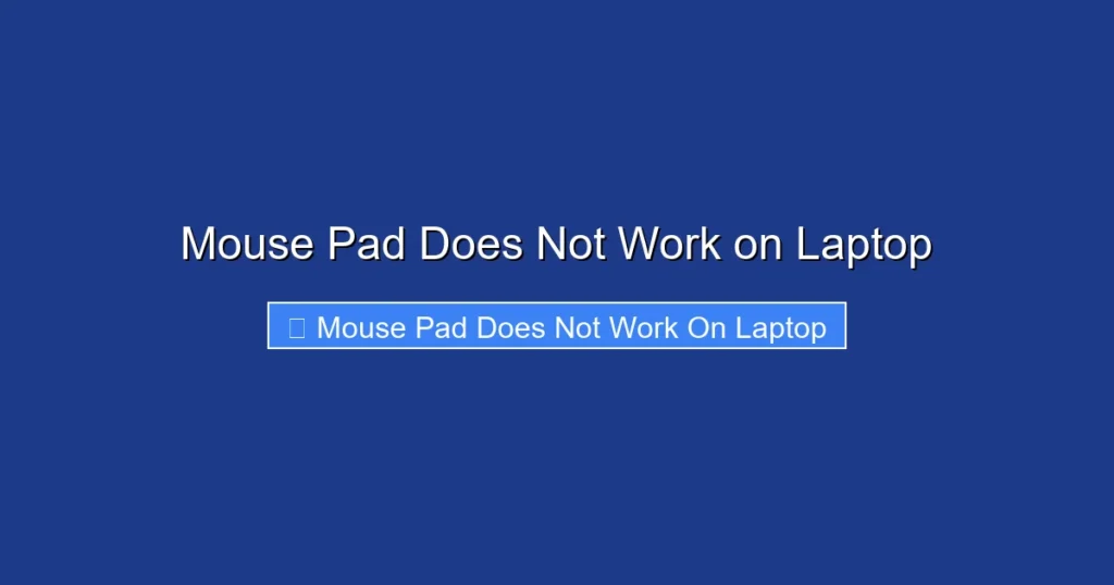 Mouse Pad Does Not Work on Laptop