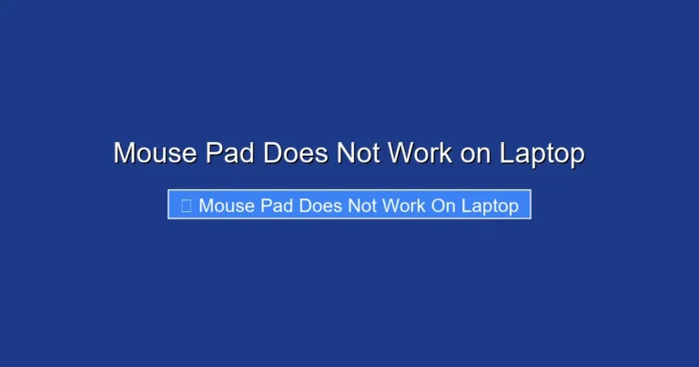 Mouse Pad Does Not Work on Laptop