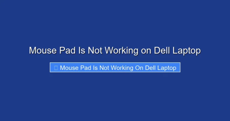 Mouse Pad Is Not Working on Dell Laptop