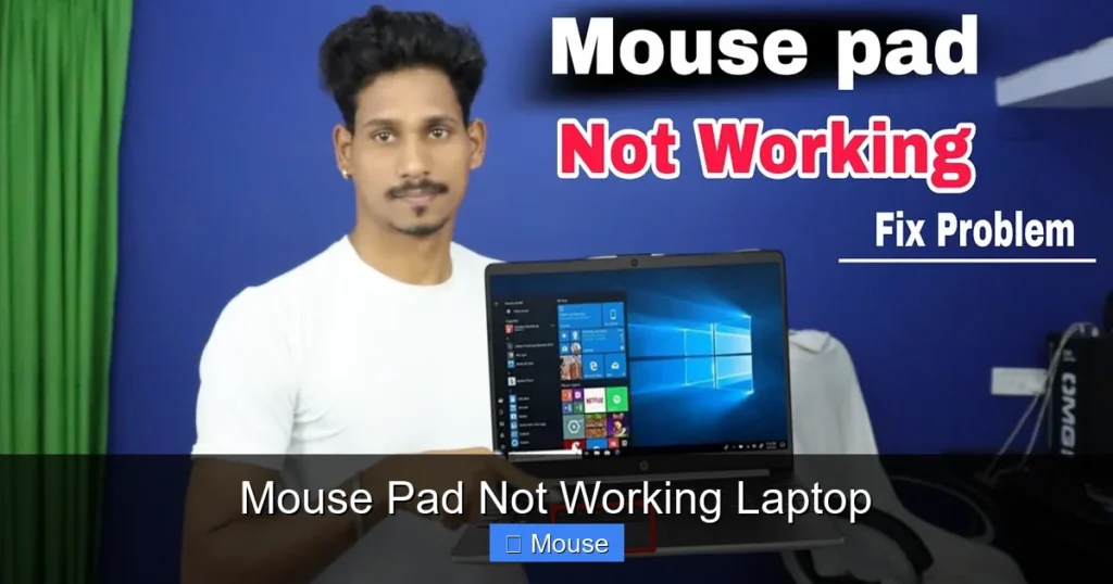 Mouse Pad Not Working Laptop
