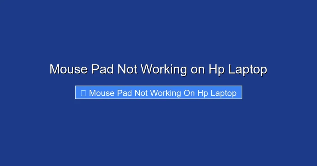 Mouse Pad Not Working on Hp Laptop