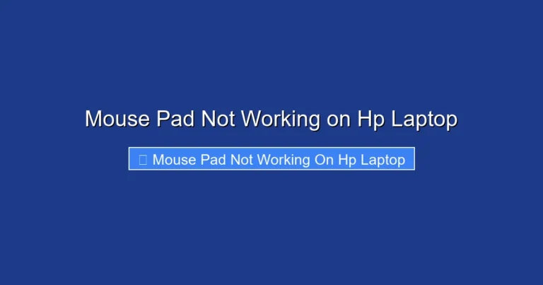 Mouse Pad Not Working on Hp Laptop