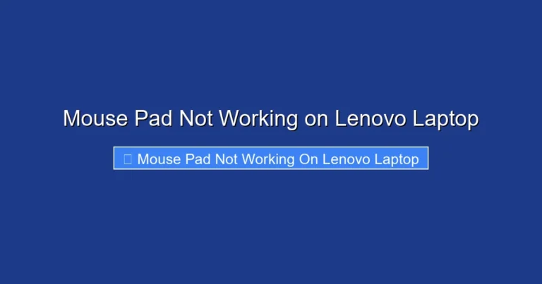 Mouse Pad Not Working on Lenovo Laptop