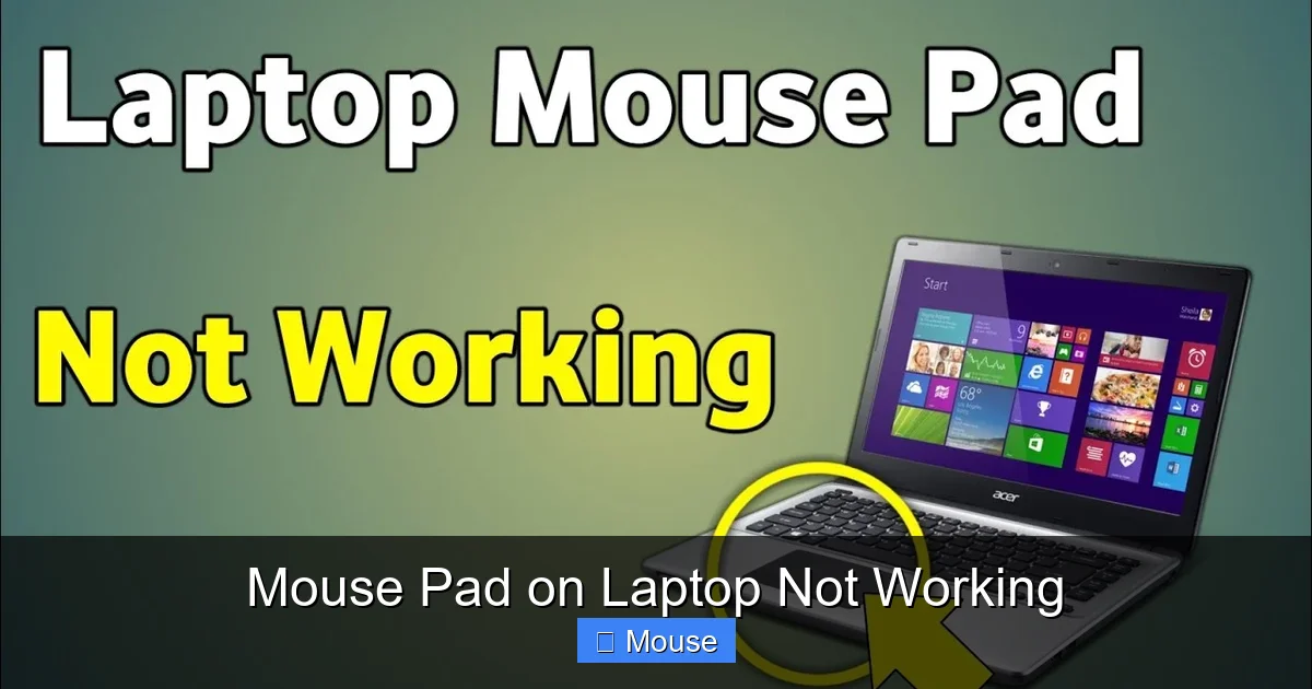 Mouse Pad on Laptop Not Working